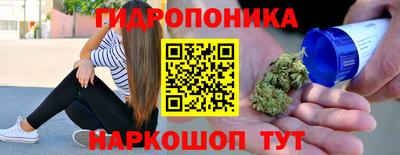 скорость Дубна