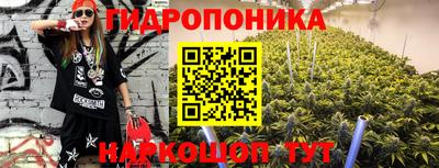 скорость Дубна