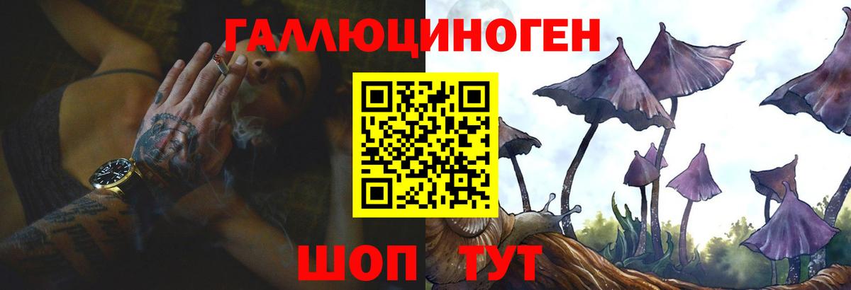 Псилоцибиновые грибы Magic Shrooms  Галлюциногенные грибы MAGIC MUSHROOMS  Мценск  цены наркотик  Вход с VPN 